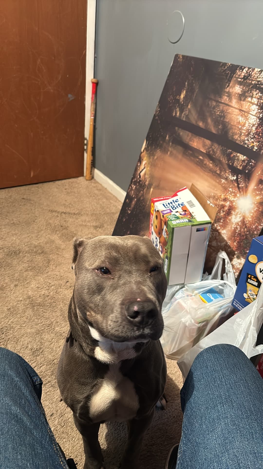 Photo of Kingston Ghost